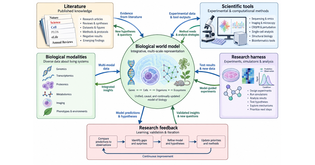 Textbook architecture diagram of a biological world model connected to scientific literature, tools, multiple biological modalities, and researcher feedback through an interactive harness.